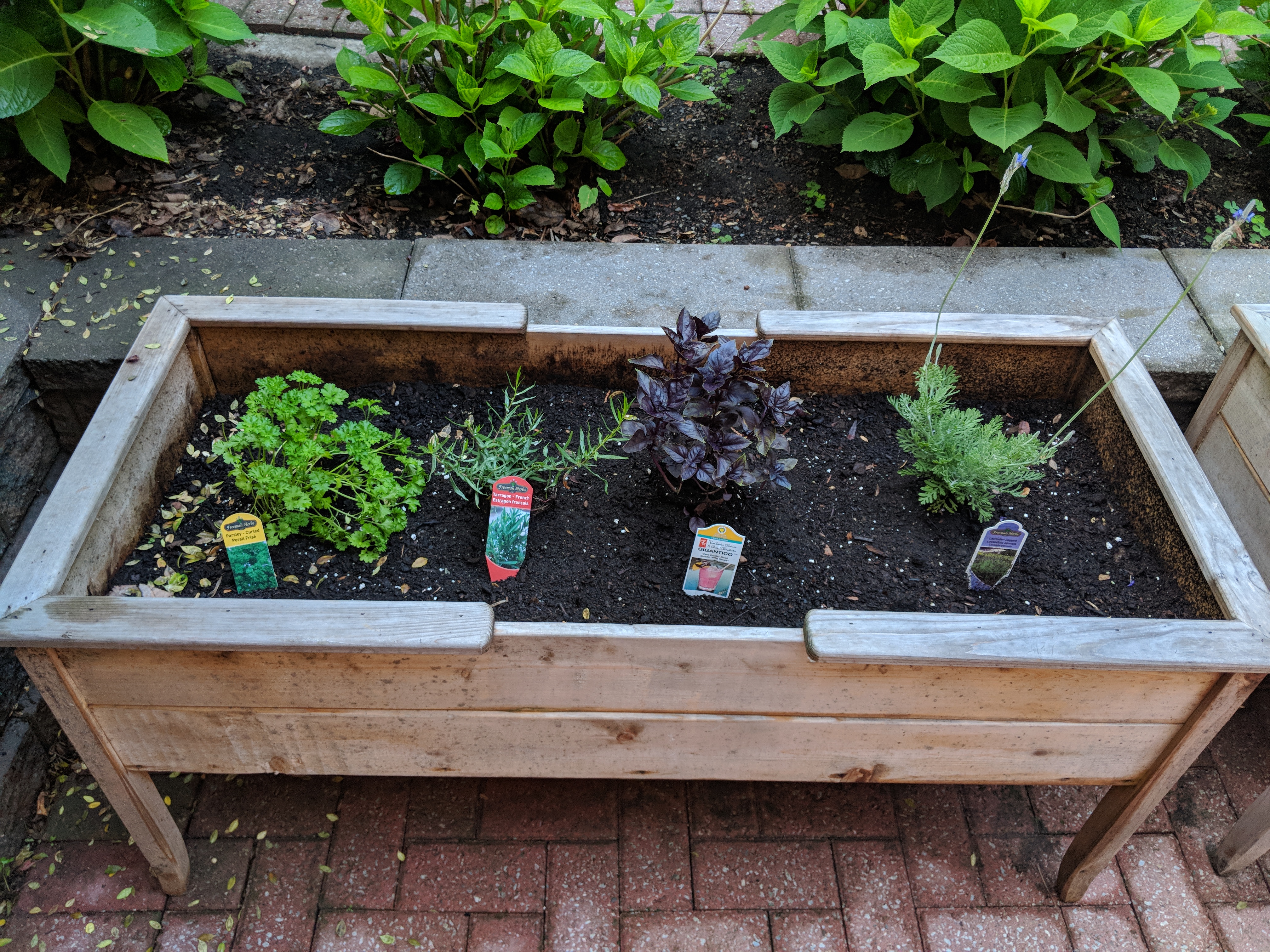 Maker:0x4c,Date:2017-10-18,Ver:4,Lens:Kan03,Act:Lar01,E-Y