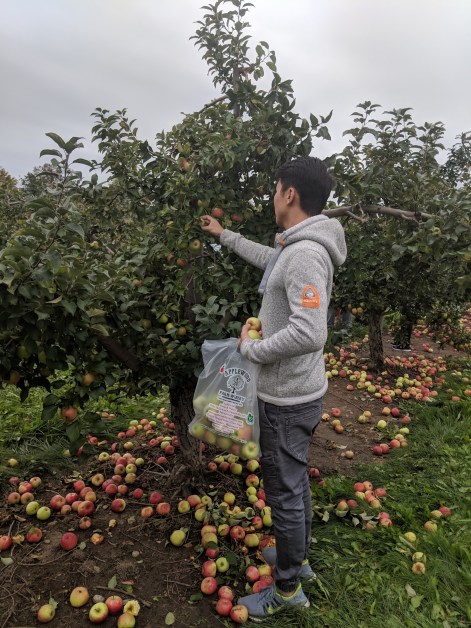 apple picking (jimmy)