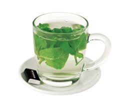 aroma mint tea