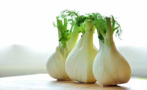 fennel-vegetables-fennel-bulb-food-159471.jpeg