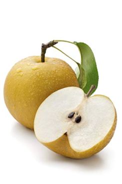 asian pear