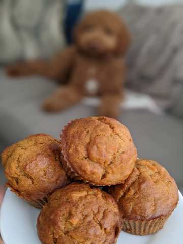 Carrot Muffins